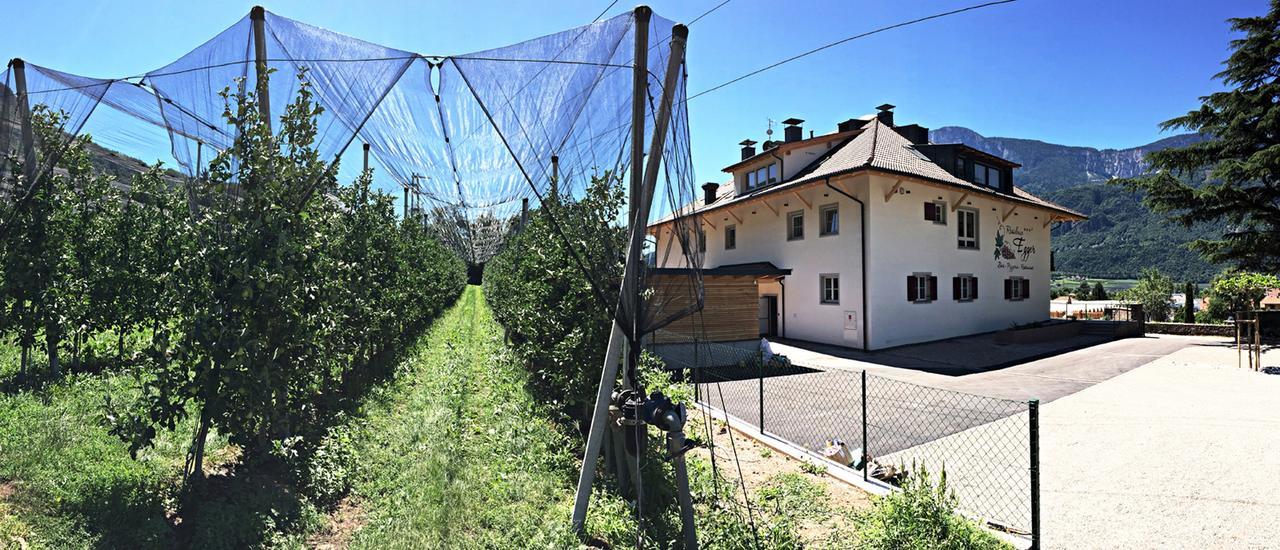 Residence Egger 特尔拉诺 外观 照片